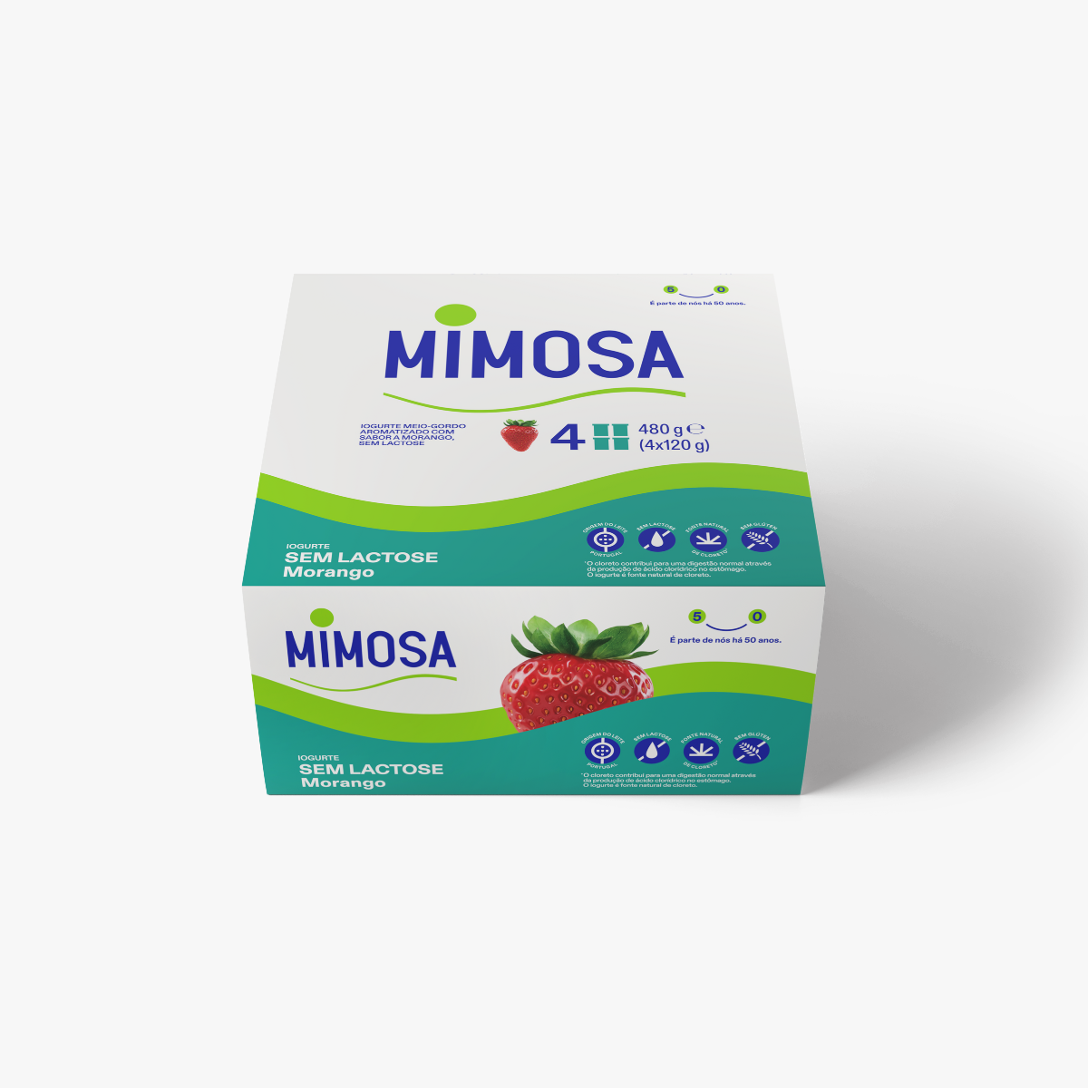 Iogurte Sólido Sem Lactose Morango Mimosa
